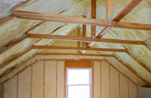 Best Commercial Insulation in Lagrange, GA