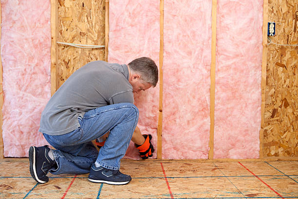Best Commercial Insulation in Lagrange, GA